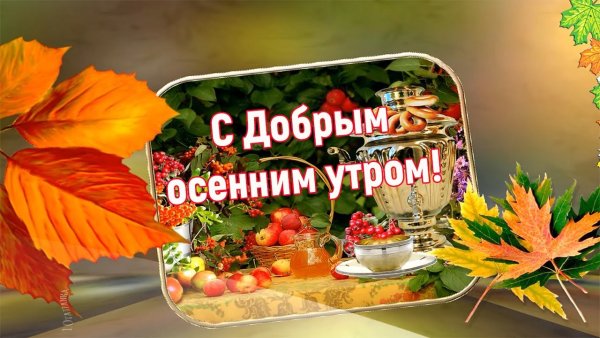 С добрым осенним воскресным утром
