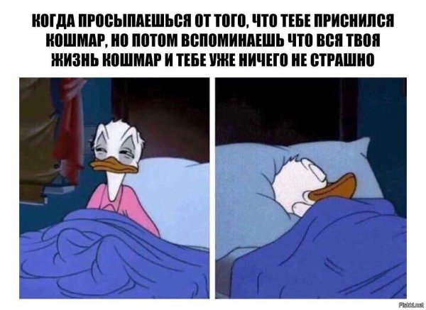 Приснился страшный сон Мем