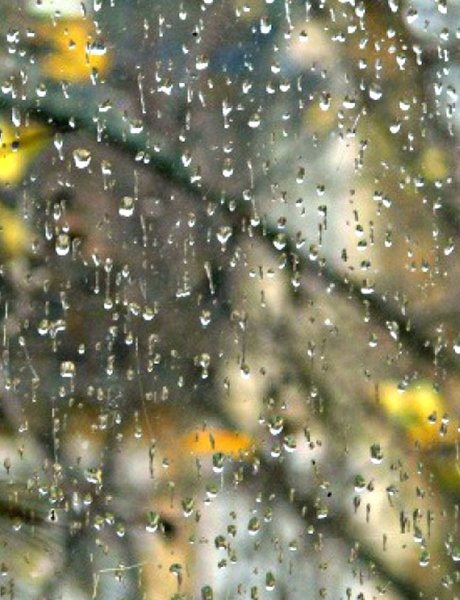 Снег с дождем