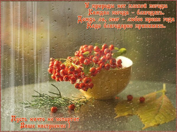 Прекрасного настроения в дождливое утро