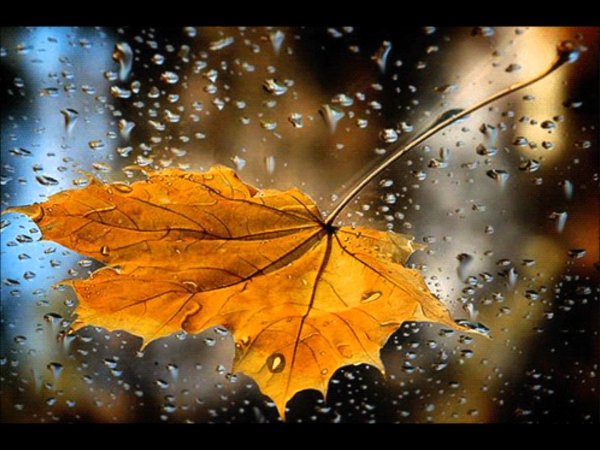 Осеннего настроения в любую погоду