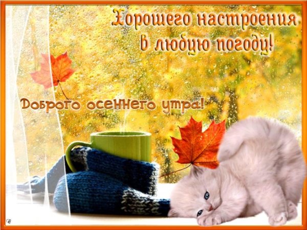 Доброго осеннего утра и хорошего настроения