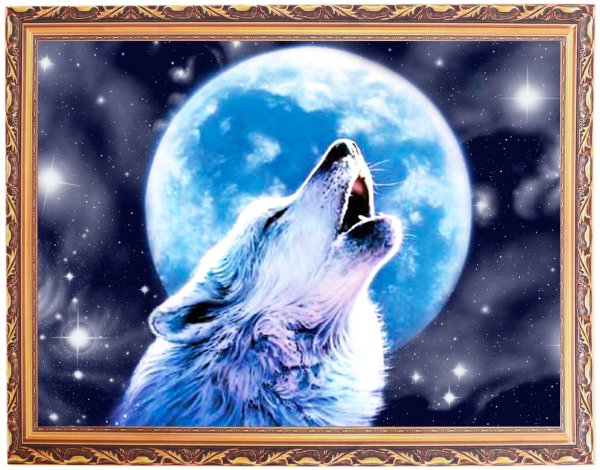 Волк и Луна