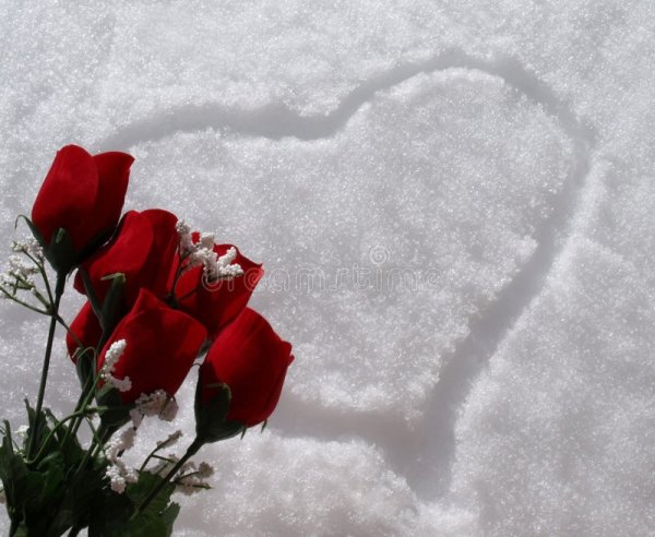 Букет роз на фоне снега