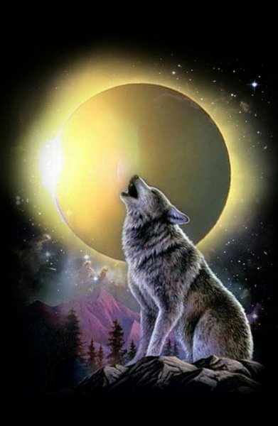 Картинки волк воет на луну красивые