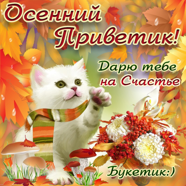 Доброго осеннего дня