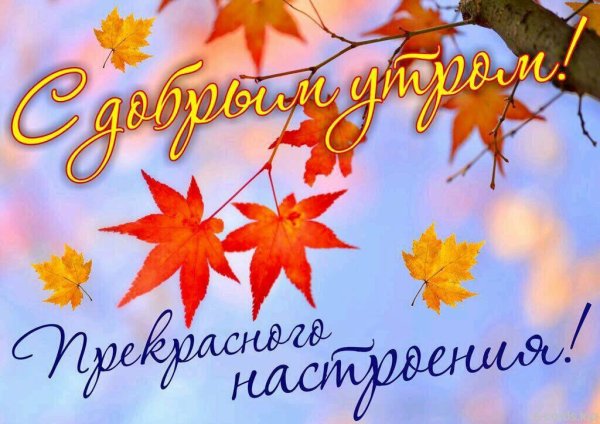 Хорошего осеннего дня и отличного настроения