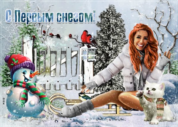 Первый снег