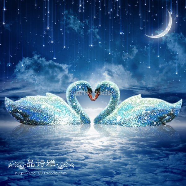 Лебедь ночью