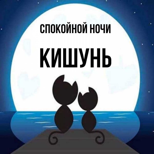 Две кошки на фоне Луны