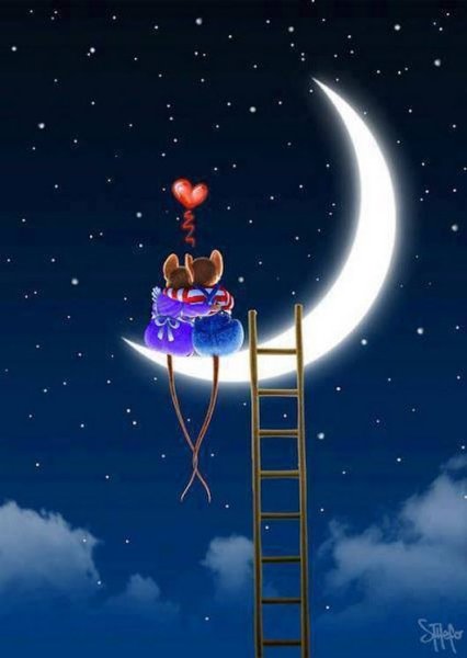 Доброй ночи звезды