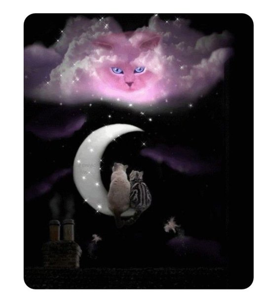Волшебный котик ночь