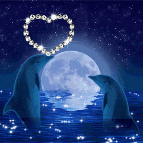 Спокойной ночи с дельфинами
