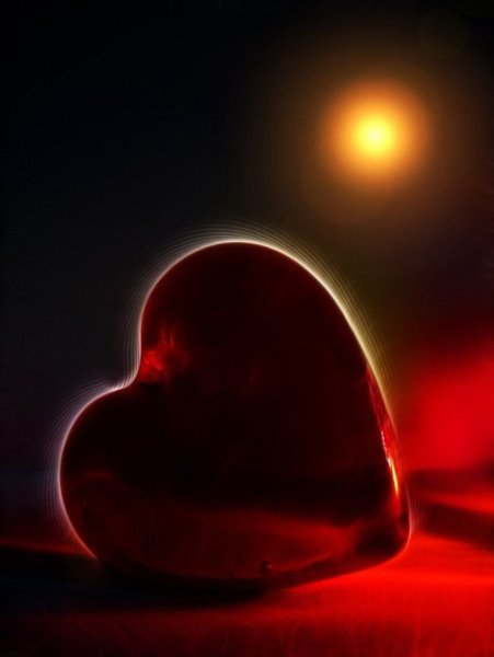 Ночное сердце