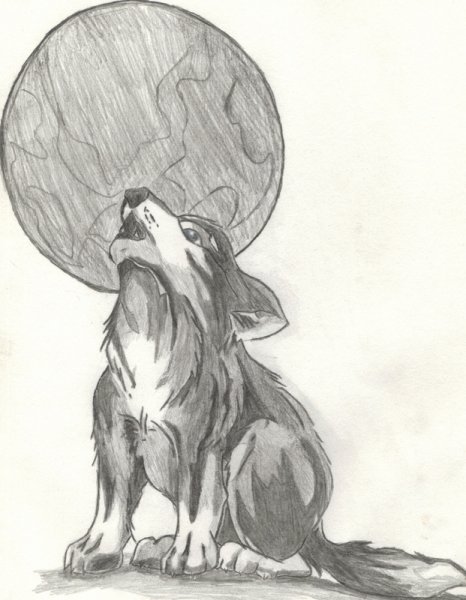 Нарисованный волк воющий на луну