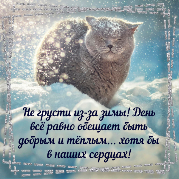 Поздравление с первым снегом