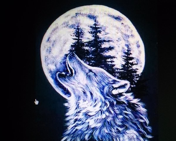 Волк воет на луну рисунок
