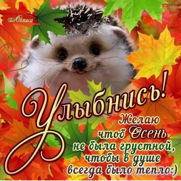 Доброго осеннего дня