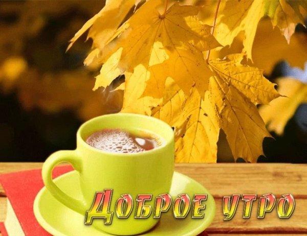 Теплого осеннего утра