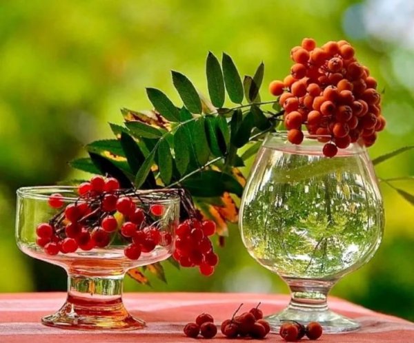 Удачного дня природа