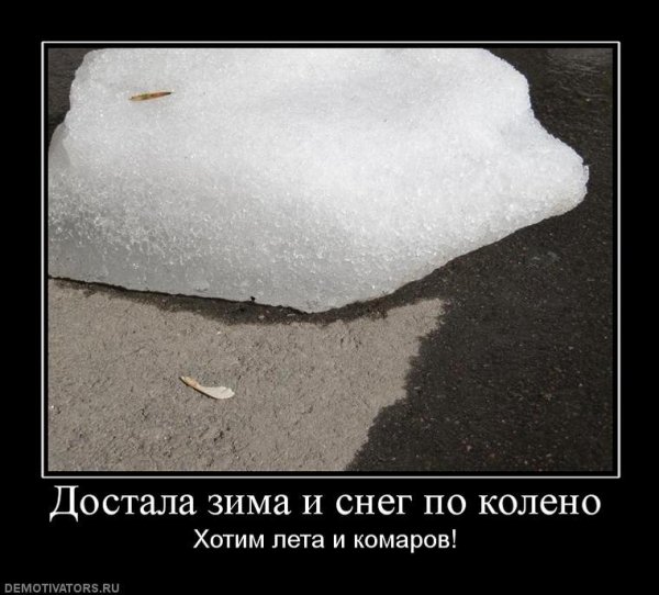 Шутки про сугробы