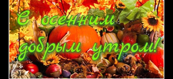 Открытки с добрым утром красивые сентябрьские