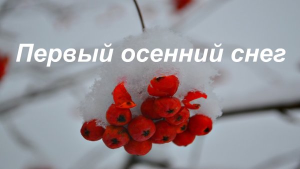 С первым снегом в октябре доброе утро