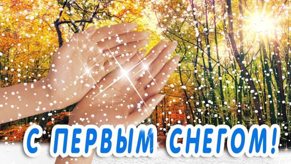 Добрый вечер с первым снегом