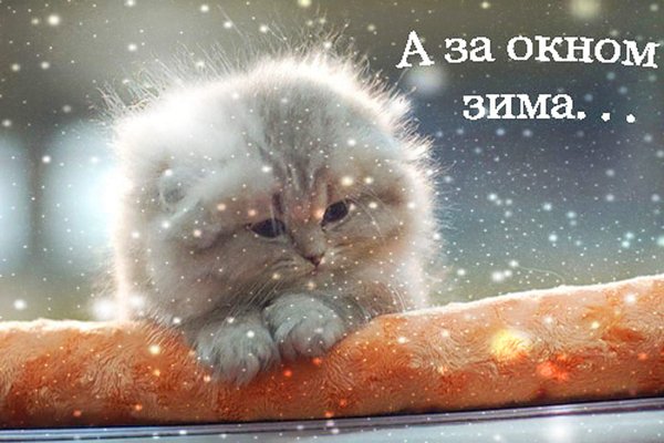 С первым днем зимы доброе утро