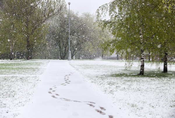 Снег идет весной