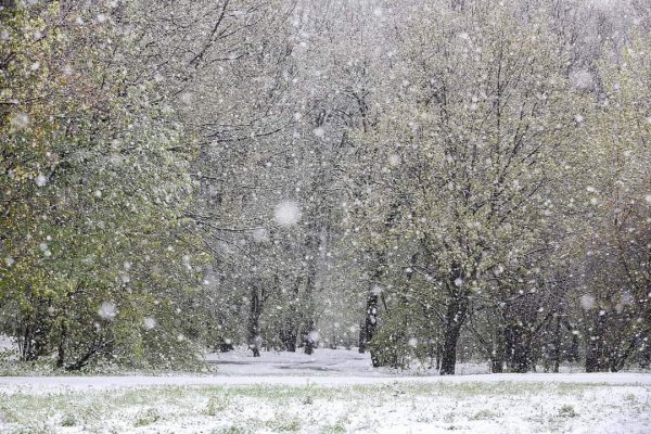 Снег идет весной