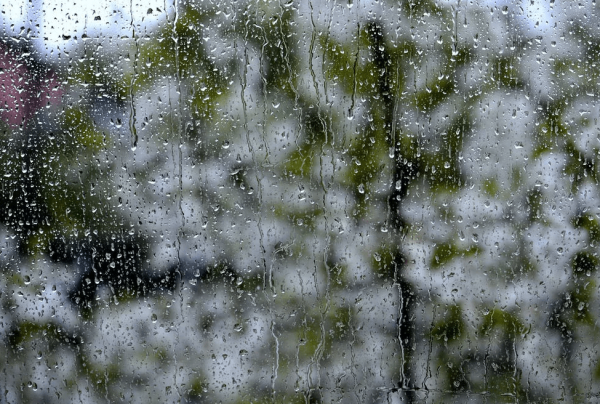 Дождь весной