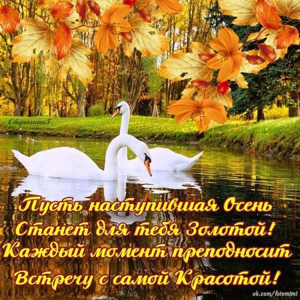 Пожелания с добрым утром осенью