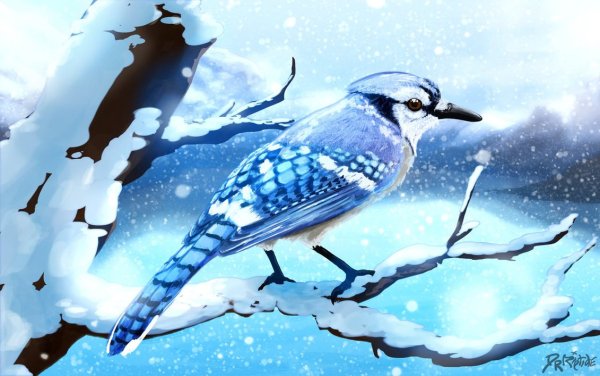 Снежная птица зимы