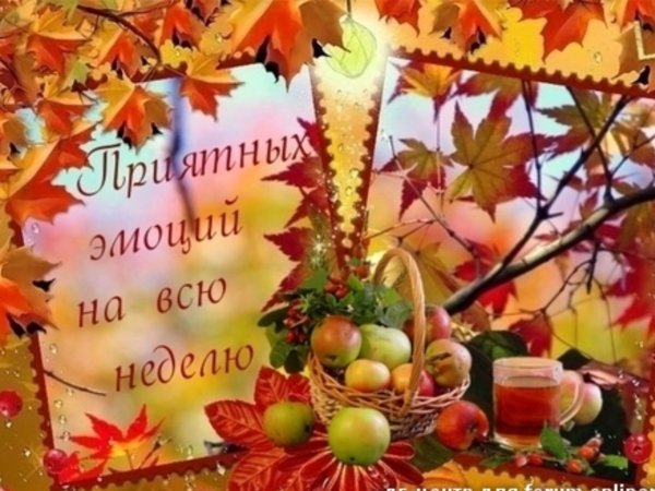 Отличной недели осень