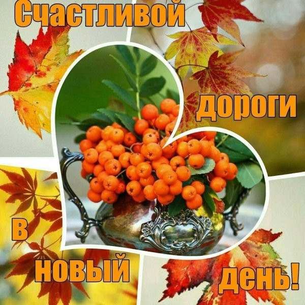 Доброе осеннее утро с рябиной