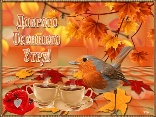Доброе осеннее утро