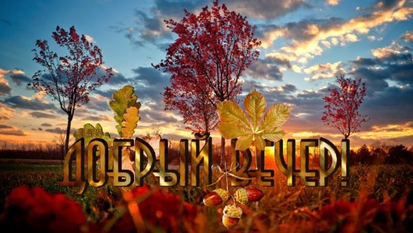 Добрый вечер природа осень
