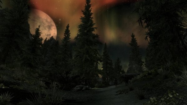 «Ночь в лесу»