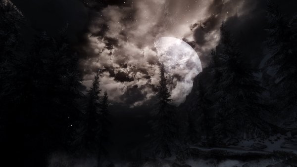 Мрачный лес с луной