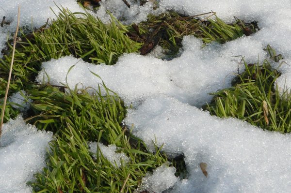 Снег растаял