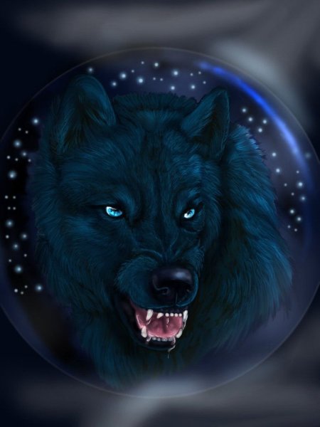 Рыжий волк с голубыми глазами - 78 фото
