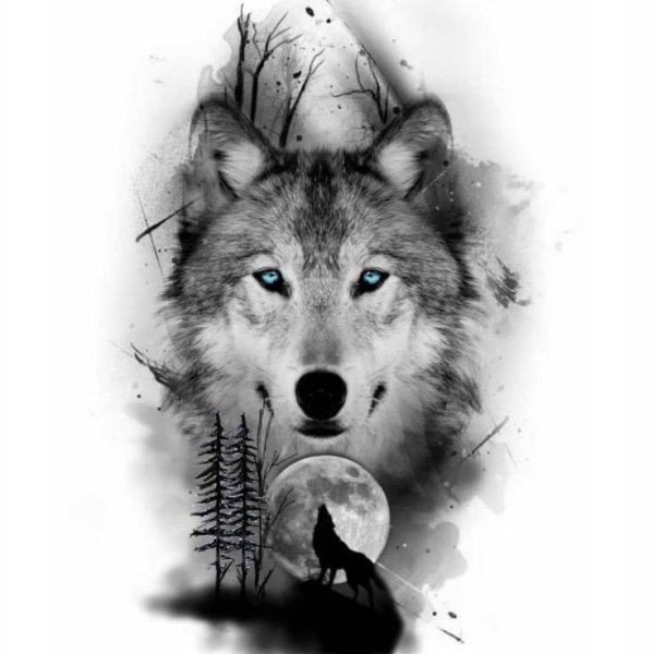 Открытки с животными | Серый волк