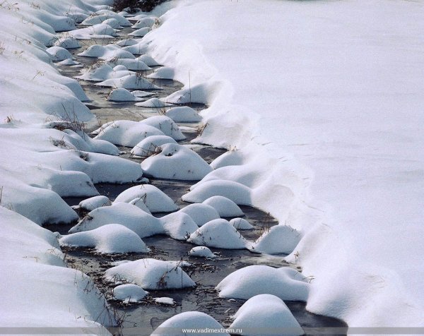 Сугробы стали лужами