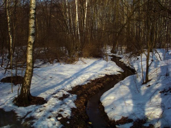 Проталины и ручьи