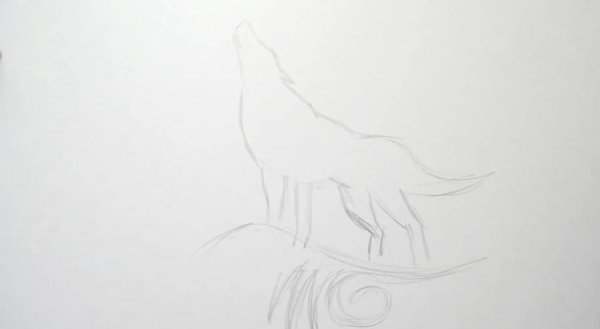 Волк воет на луну рисунок карандашом для начинающих