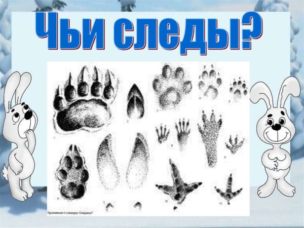 Игра для детей чьи следы диких животных
