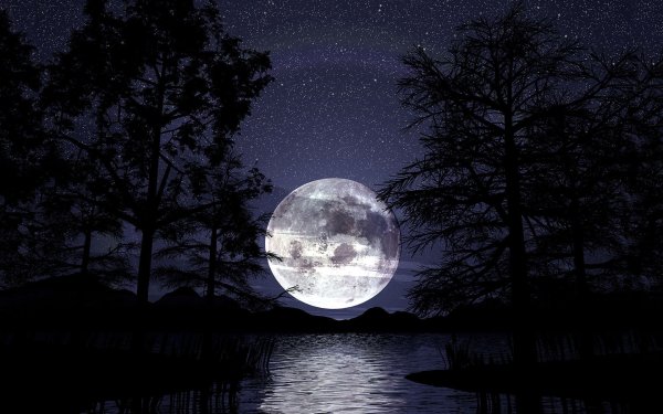 Картина Лунная Соната Бетховена