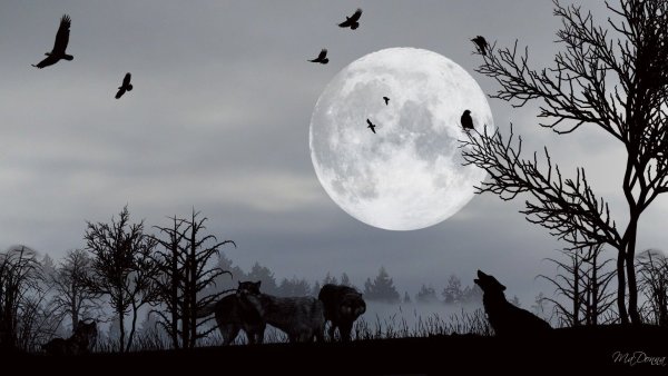 Вороны Луна