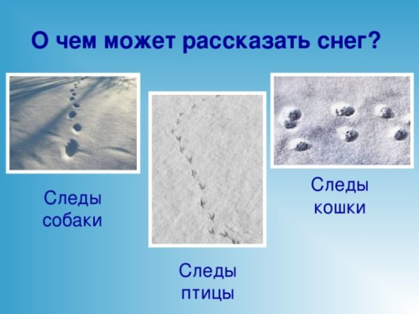 О чём можно рассказать сугроб